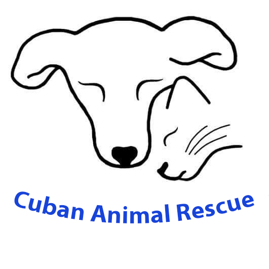 Cuban Animal Rescue